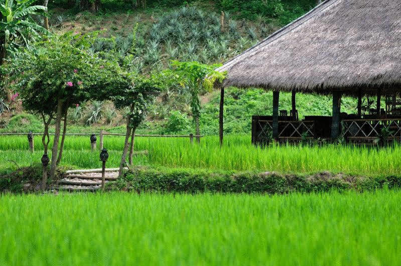 Kamu Lodge Pak Ou المظهر الخارجي الصورة